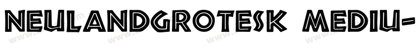 NeulandGrotesk Mediu字体转换